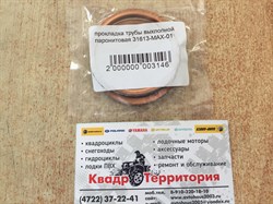 Прокладка приемной трубы 31613-max-00 - фото 6784