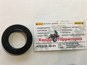 Сальник промежуточного вала ДВС большой BRP Can-Am Outlander G1-G2 420850055