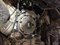 Yamaha grizzly ремонт сцепления  - фото 6947
